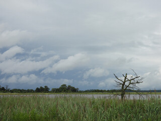 The natural beauty of the wetlands, as the remnants of tropical storm Debby pass by. Ominous clouds looming in the sky above the Bombay Hook National Wildlife Refuge, Kent County, Delawa