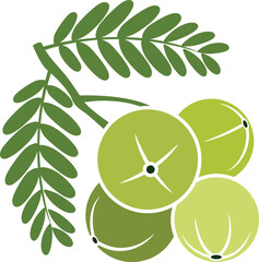 Amla Fruit and Leaves Illustration