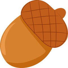 vector illustration of acorn