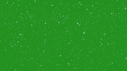 Winter snow falling on green screen

