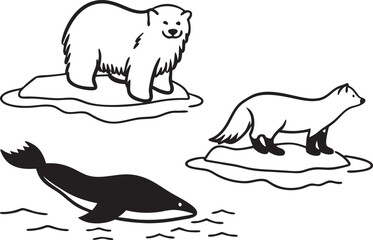 polar bear vector illustration