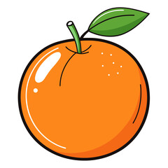 orange fruit vector illustration
