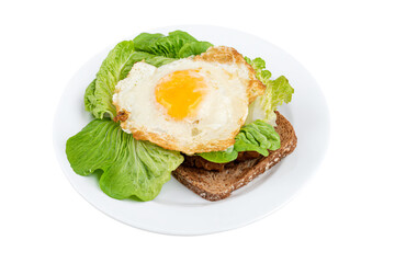 a plate with a sandwich and an egg on it