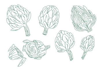 Outline vegetable bundle with artichokes, minimal line drawing collection for food projects