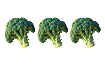 Three Fresh Broccoli Heads – Healthy Green Vegetables