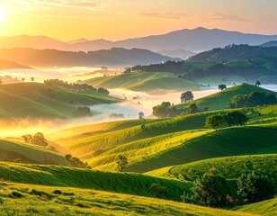 Rolling green hills covered in morning mist with distant mountains under a golden sunrise light scene