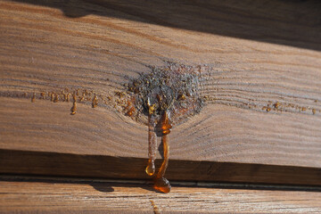 A wooden surface with a sticky substance dripping from it. The substance appears to be honey, and it is covering the wood in a messy and unappealing way. Scene is one of disarray and neglect