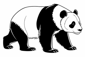 Obraz premium panda sihouette black vector