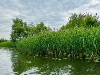 A pleasant walk along the river on a summer day. High video 4k