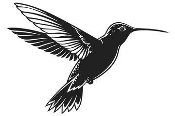 Obraz premium hummingbird logo black vector