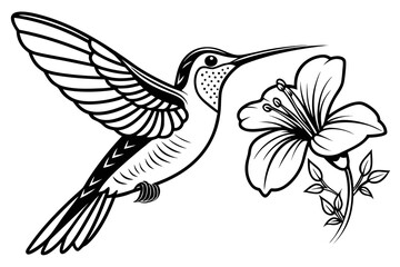 Obraz premium hummingbird logo black vector