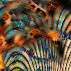 peacock feather background