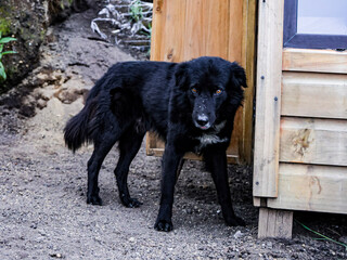 Volcan acatenango from Guatemala antigua