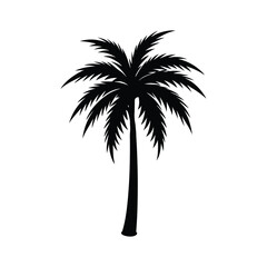 Obraz premium Palm tree in clean tropical style perfect for travel summer beach and exotic destination design themes silhouette on white background