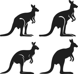 kangaroo vector illustration