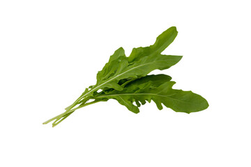 a bunch of green leaves on a white surface