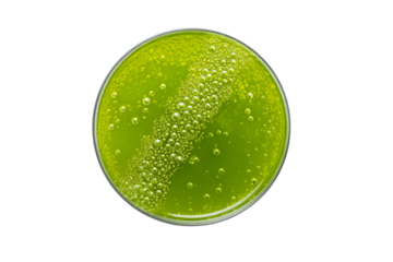 a glass of green liquid with bubbles