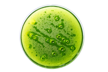 a glass of green liquid with a green substance