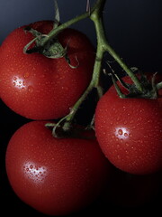 cherry tomatoes on black background