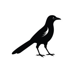 Fototapeta premium a magpie bird full black silhouette vector illustration on white background