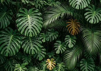 Close-up of vibrant green fern leaves forming a natural pattern in a lush forest garden.