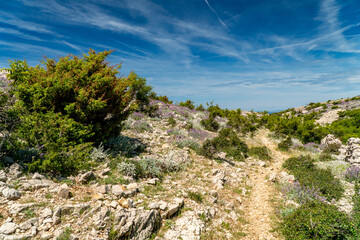 Hiking routes on the Pag Island in Croatia.
