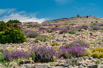 Hiking routes on the Pag Island in Croatia.