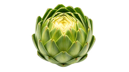 Fototapeta premium Fresh green artichoke vegetable isolated on transparent background