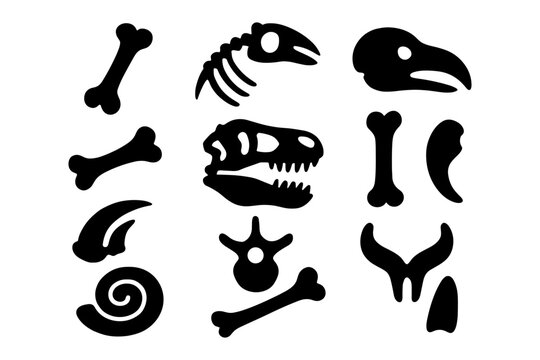 Black dinosaur fossil silhouettes set for paleontology and prehistoric design