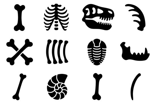 Dinosaur and fossil silhouettes: bones and fossils icon set
