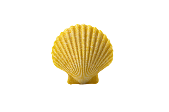 a yellow shell on a white background - Powered by Adobe