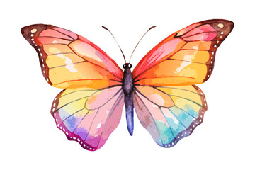 Obraz premium Beautiful watercolor butterfly with vibrant orange yellow pink and blue wings