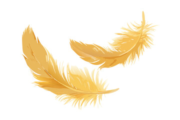 Two delicate golden feathers floating gracefully against a black background