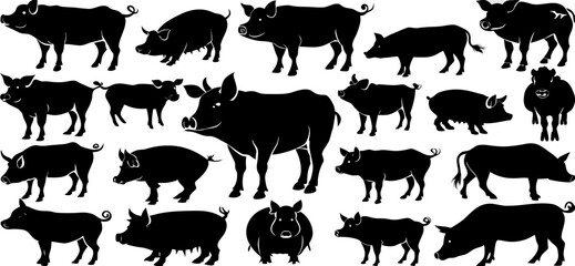 Fototapeta premium Collection of Pig Silhouettes: Black and White Farm Animal Graphics