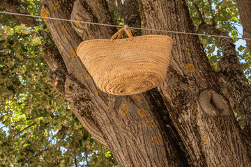 basket hanging from a tree decorating a street
