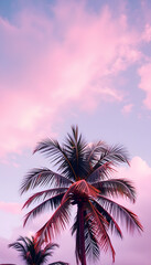 Copy space pink tropical palm tree on sky abstract background. Summer vacation and nature travel adventure concept, magazine photoshoot. White tone