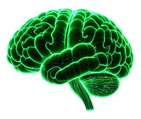 3D Green Brain PNG with Transparent Background for Medical Use
Realistic 3D Render of Green Human Brain in PNG Format
Green Brain Illustration in 3D Style with No Background