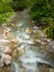 mountain river in the forest
