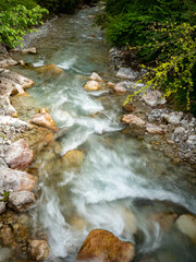 stream in the forest