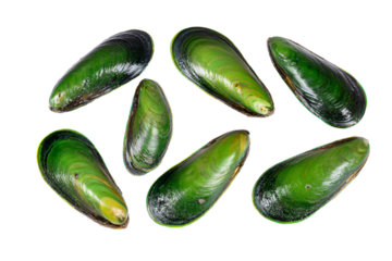a group of green mussels on a white surface