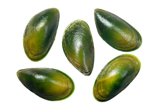 a group of green mussels on a white surface
