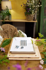 Flower pressing kit surrounded by fresh summer flowers. DIY botanical project in cozy home setting...