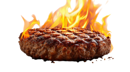 Flaming Hamburger Patty A Fiery Feast for Burger Aficionados and Culinary Adventurers Alike