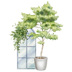 Watercolor illustration of decorative tree in a pot, window, and climbing ivy. Green houseplant illustration. For flower shops, printing on postcards, greeting cards, business cards, etc.