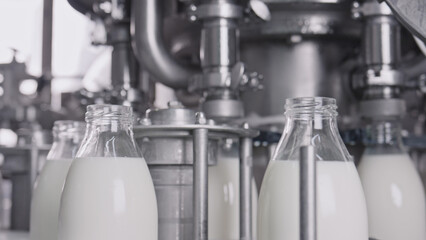 Milk bottling plant processing fresh milk into
