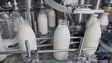 Milk bottles moving on conveyor belt in dairy