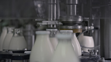 Automatic machine capping milk bottles in dairy