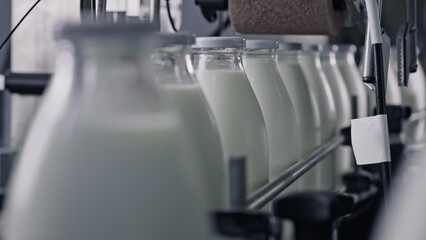 Milk bottling plant processing fresh milk into