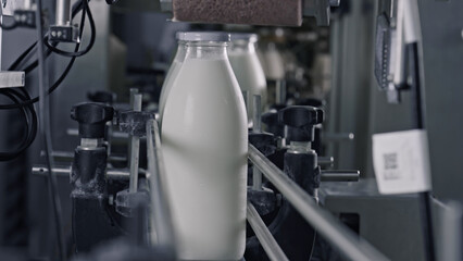 Milk bottles moving on conveyor belt in dairy