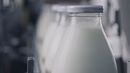 Fresh milk bottles passing through production line